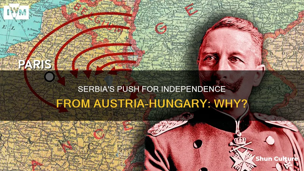 why did serbia want independence from austria hungary