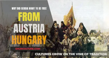 Serbia's Fight for Independence: Breaking Free from Austria-Hungary