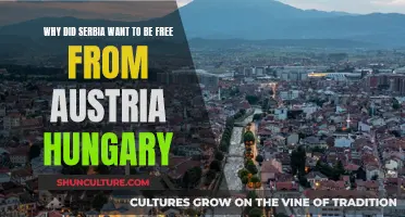 Serbia's Push for Independence from Austria-Hungary