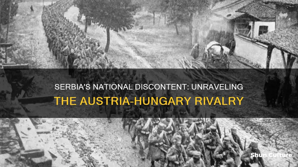 why did serbian nationals dislike austria-hungary