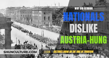Serbian Resentment: Austria-Hungary's Oppressive Rule
