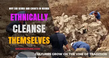 Bosnia's Ethnic Cleansing: Unraveling Serb-Croat Conflict and Devastation