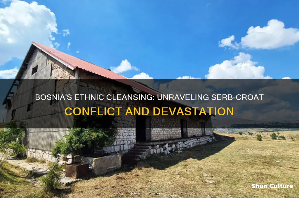 why did serbs and croats in bosnia ethnically cleanse themselves