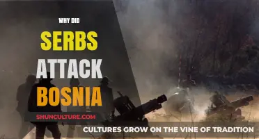 Why Serbs Attacked Bosnia: Unraveling the Complex Historical Conflict