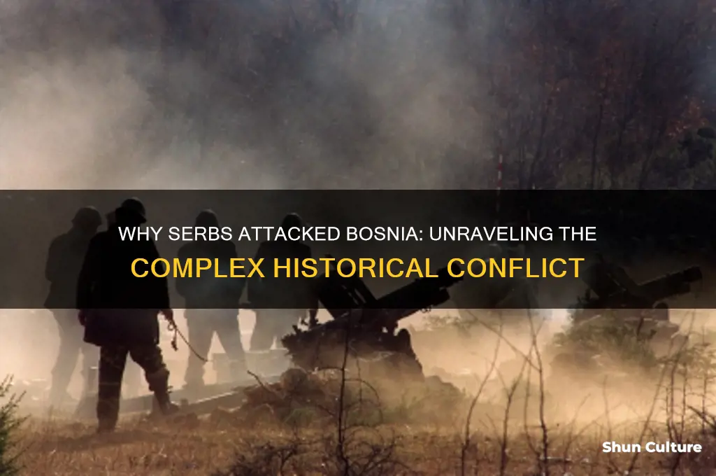why did serbs attack bosnia