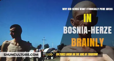 Ethnic Cleansing in Bosnia: Serbs' Quest for Homogeneous Territories