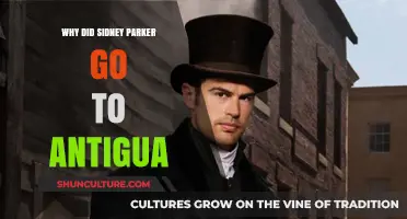 Sidney Parker's Antigua Journey: Uncovering the Reasons Behind His Visit