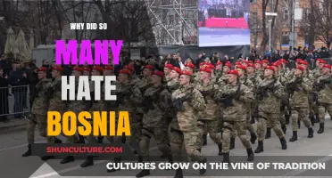 Understanding the Deep-Rooted Animosity Towards Bosnia: Historical and Cultural Insights