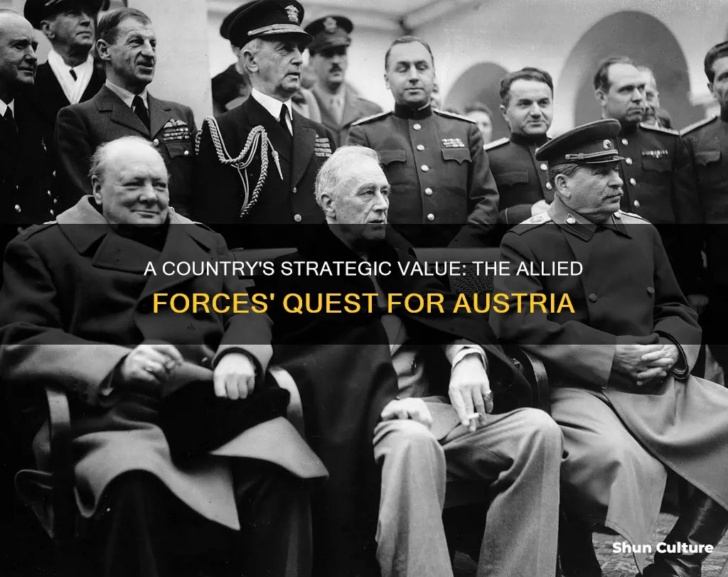 why did the allied forces want austria