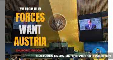Austria's Strategic Importance: Why the Allies Coveted This Country