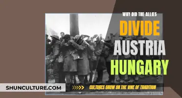 The Alliances' Decision: Dividing Austria-Hungary's Fate