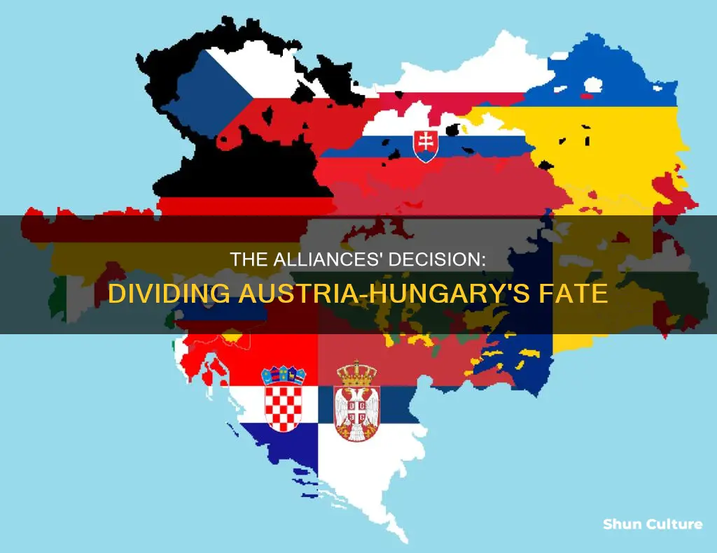 why did the allies divide austria hungary