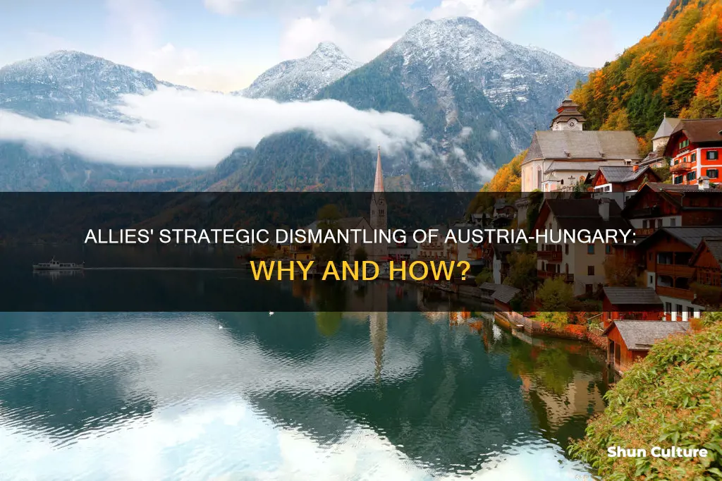 why did the allies divide austria hungary