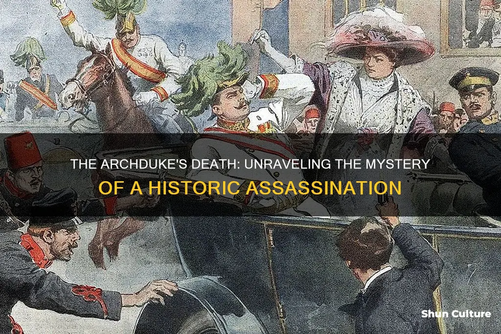 why did the assassination of austrian archduke franz ferdinand occur