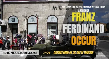 The Assassination of Franz Ferdinand: A Catalyst for War