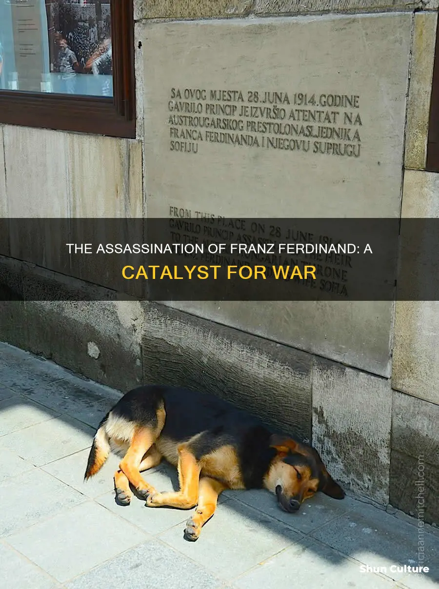 why did the assassination of austrian archduke franz ferdinand occur