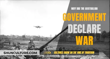 Australian Government's War Declaration: Reasons and Rationales