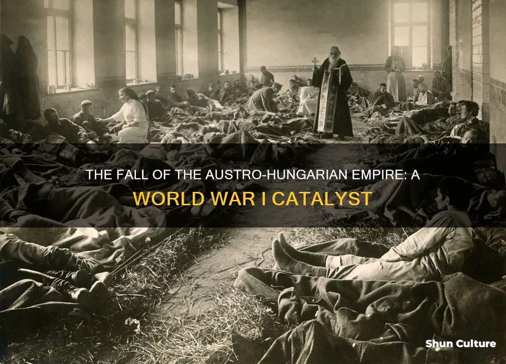 why did the austria-hungary empire end in ww1