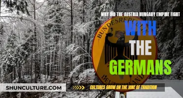 Austria-Hungary and Germany: Allies in Conflict