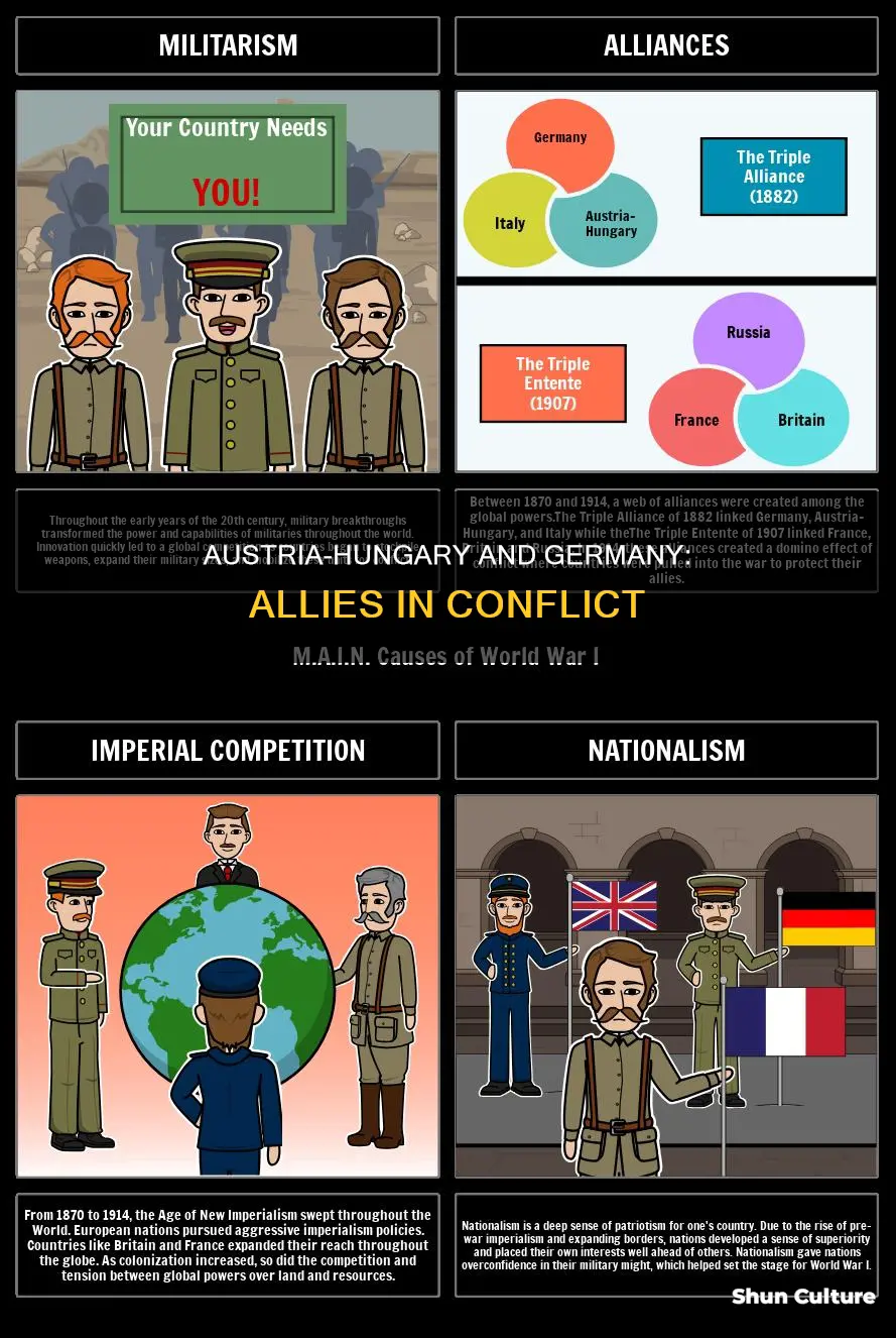 why did the austria hungary empire fight with the germans