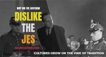 Austrian Dislike for JES: Understanding the Underlying Factors