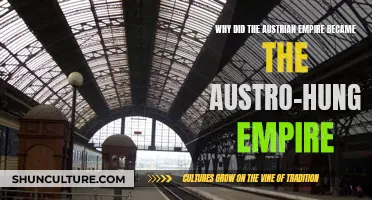 The Austrian Empire's Evolution: Austro-Hungarian Identity