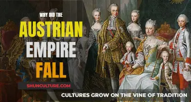 The Decline of the Austrian Empire: Causes and Factors