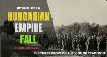 The Fall of the Austrian-Hungarian Empire: A Complex History