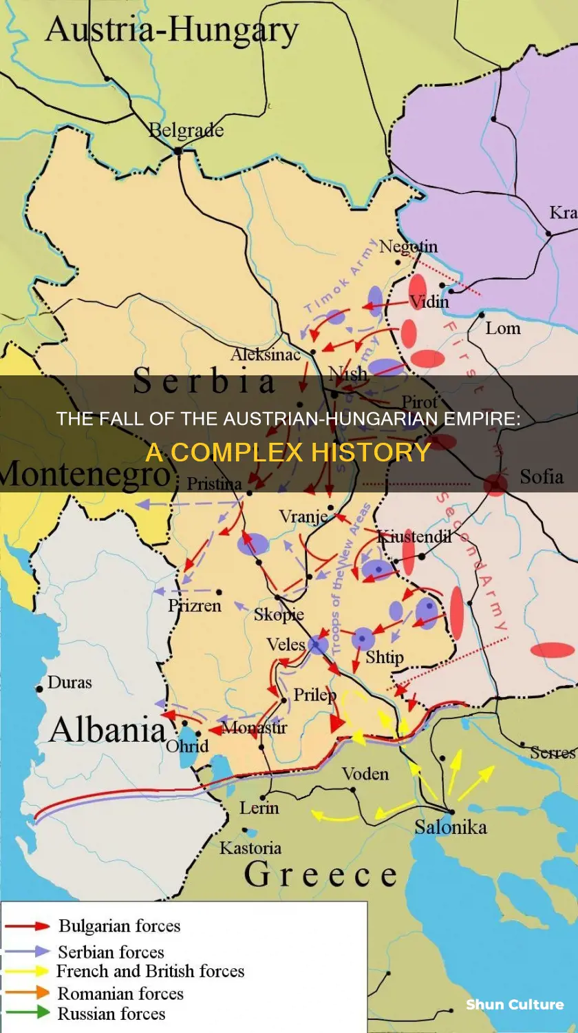 why did the austrian hungarian empire fall
