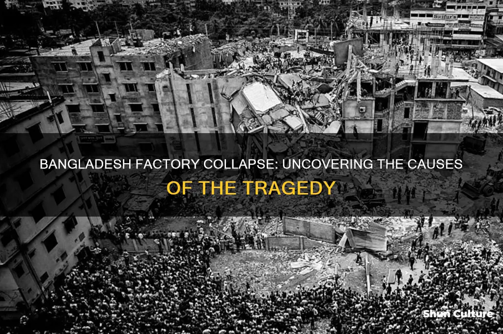 why did the bangladesh factory collapse