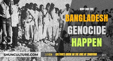 Unraveling the Roots: The 1971 Bangladesh Genocide Explained