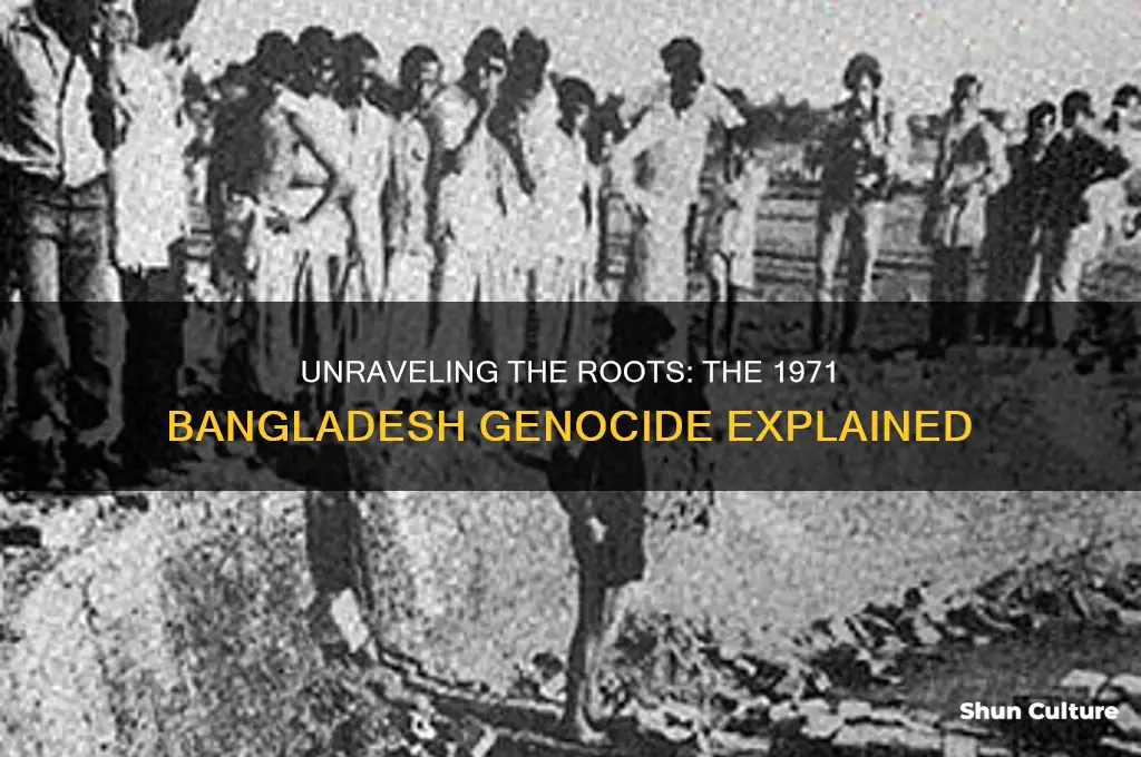 why did the bangladesh genocide happen