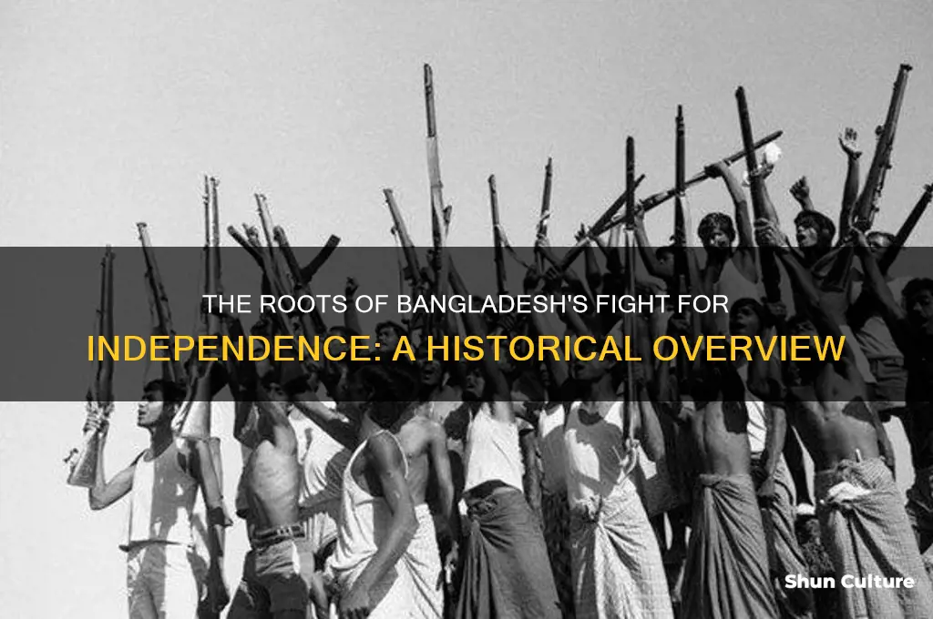 why did the bangladesh liberation war happen