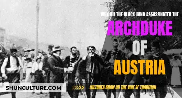 The Black Hand's Assassin: Unraveling the Archduke's Murder Mystery