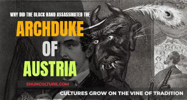 The Black Hand's Deadly Motives Against Austrian Royalty