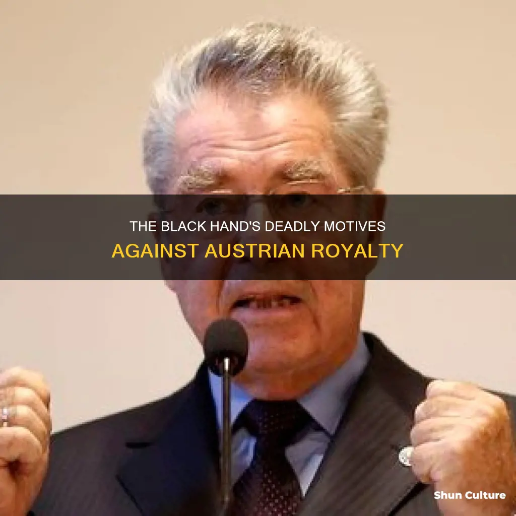 why did the black hand assassinated the archduke of austria