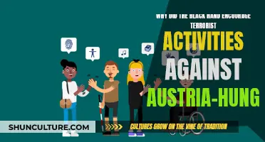 Black Hand's Terrorist Activities: Austria-Hungary's Downfall