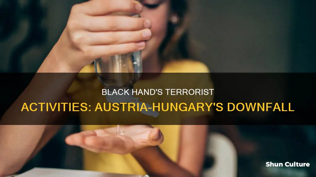 why did the black hand encourage terrorist activities against austria-hungary