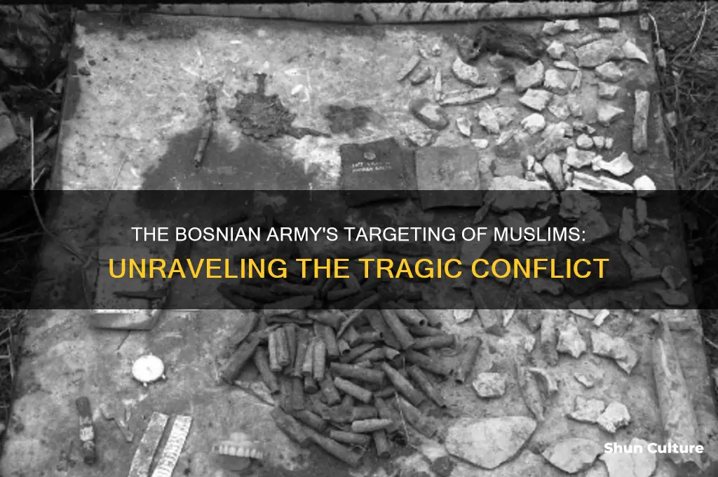 why did the bosnian army target muslims