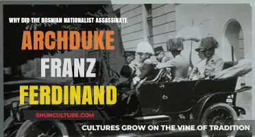 Bosnian Nationalist's Assassination of Archduke Franz Ferdinand: Unraveling Motives