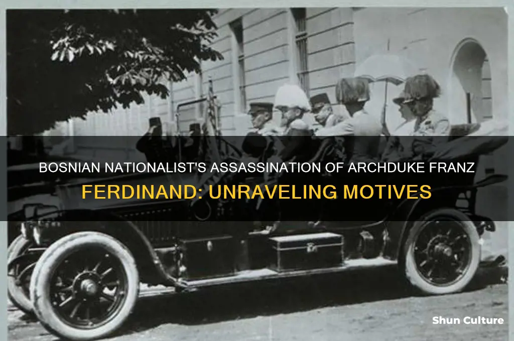 why did the bosnian nationalist assassinate archduke franz ferdinand