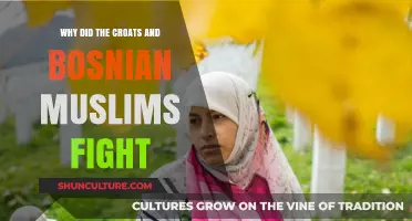 Croats vs. Bosnian Muslims: Unraveling the Causes of the Conflict