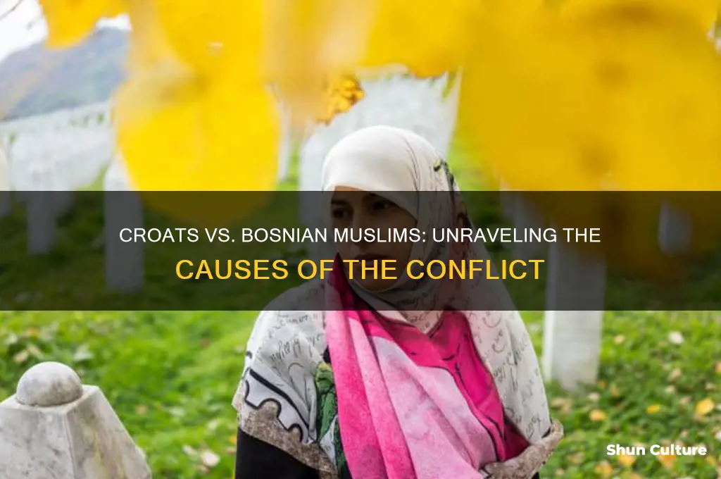 why did the croats and bosnian muslims fight