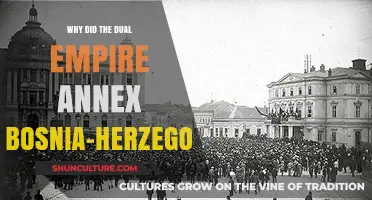 The Dual Empire's Annexation of Bosnia-Herzegovina: Motives and Consequences