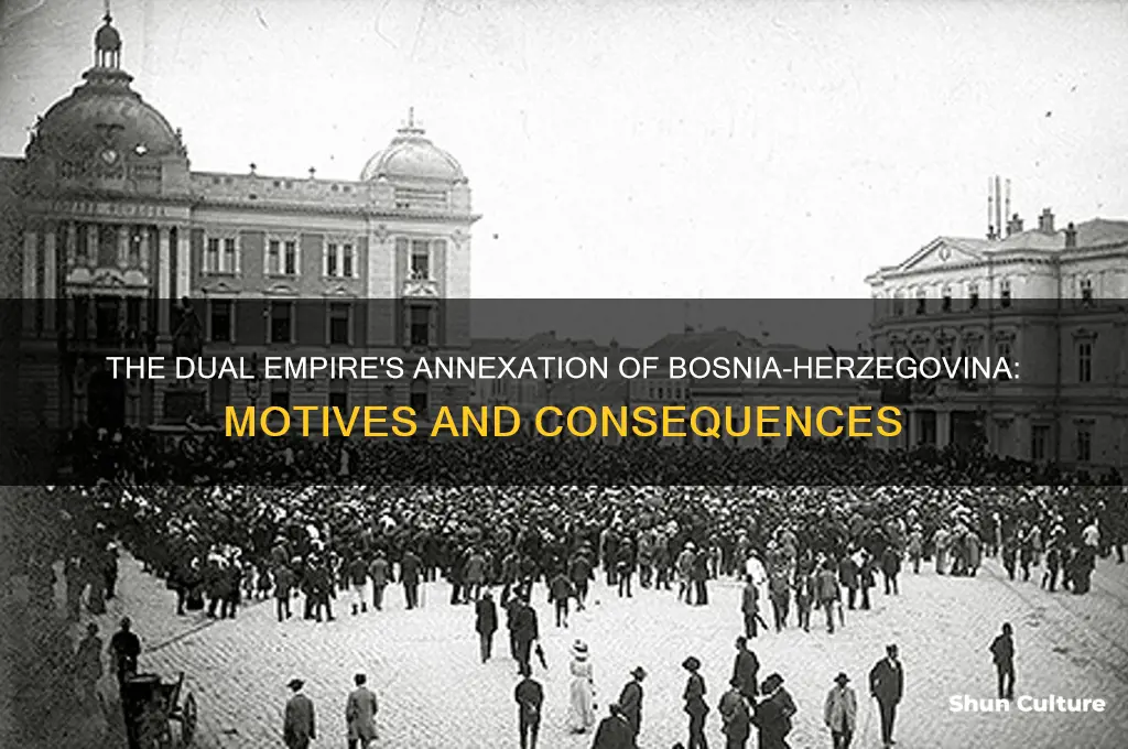 why did the dual empire annex bosnia-herzegovina