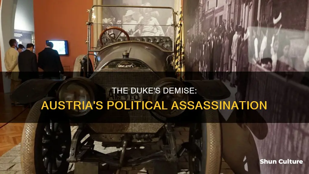 why did the duke of austria was killed