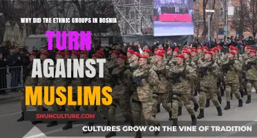 Bosnia's Ethnic Tensions: Unraveling the Turn Against Muslims