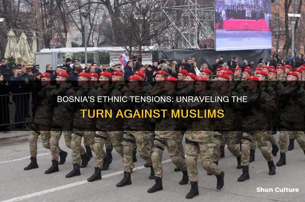 why did the ethnic groups in bosnia turn against muslims