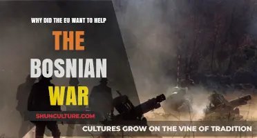 EU's Role in the Bosnian War: Motives and Interventions