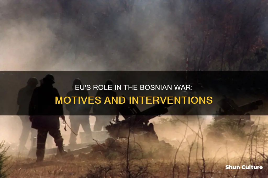 why did the eu want to help the bosnian war